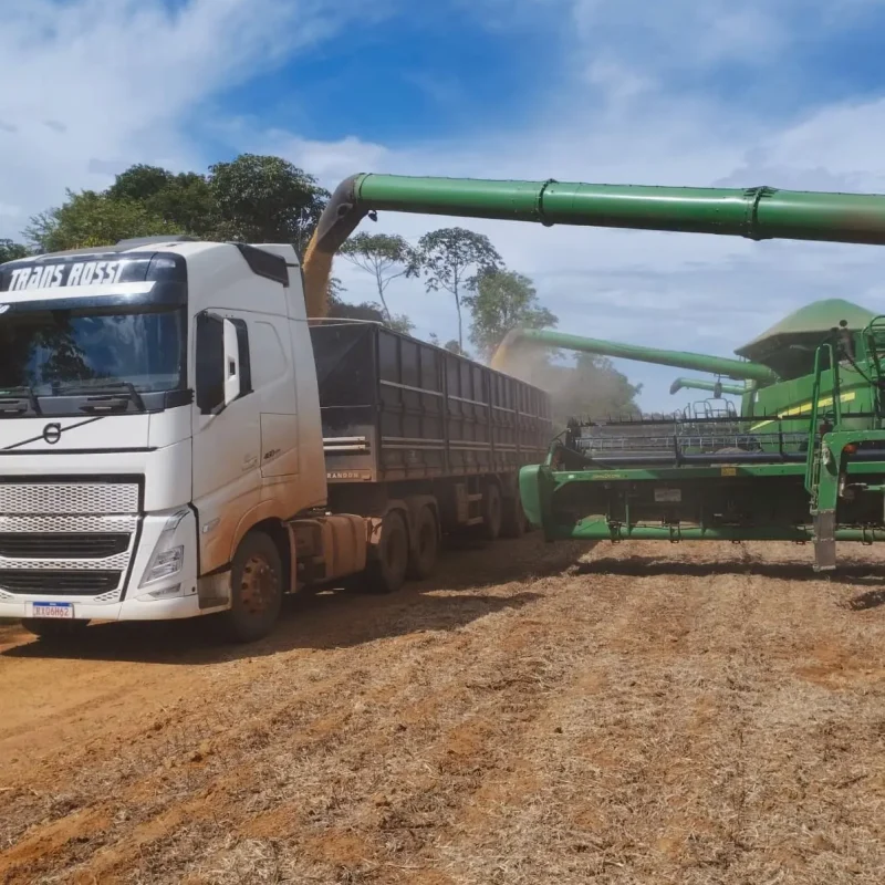 60e43a0c-09de-4a27-8768-6af61db72b7e_VSCO.JPG (1)